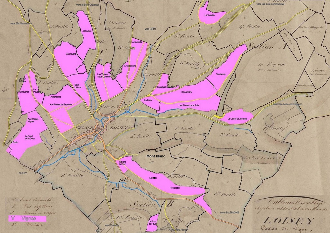 La surface du vignoble à Loisey en 1840