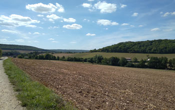 Vue sur le vallon de Sainte-Geneviève à son arrivée près du village de Culey. (été 2022)